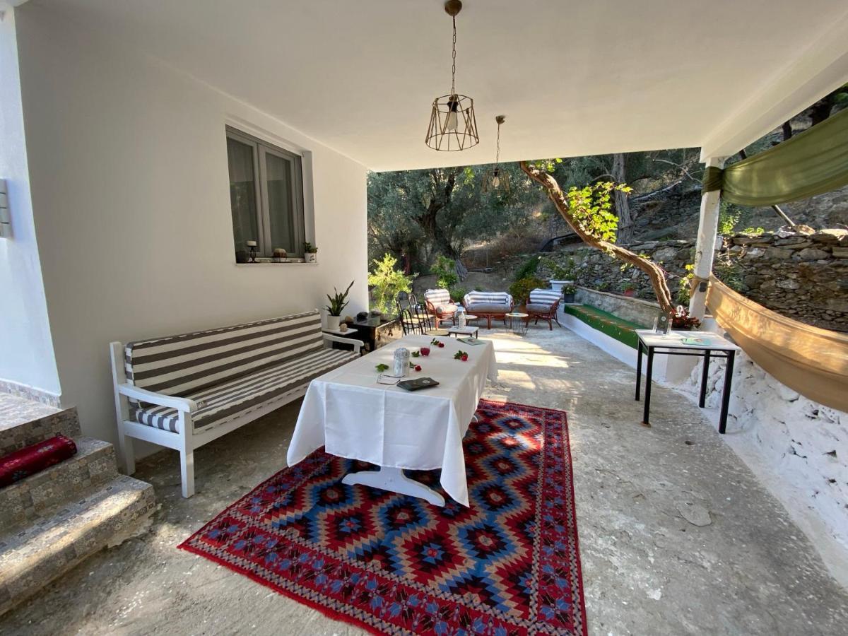 House With Beautiful Garden In Plomari Apartment Luaran gambar