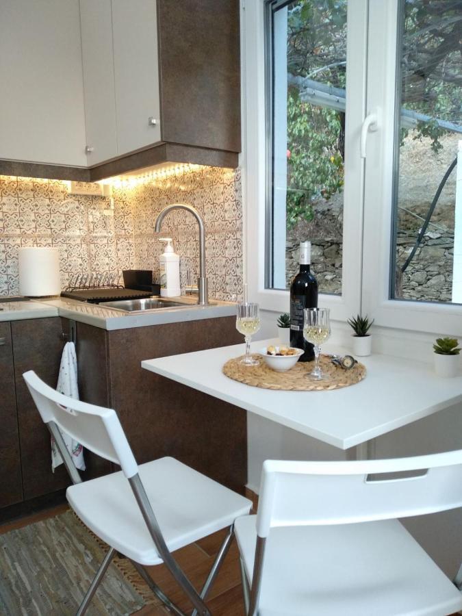 House With Beautiful Garden In Plomari Apartment Luaran gambar